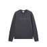 Sweat Champion Icons Tonal Homme Gris