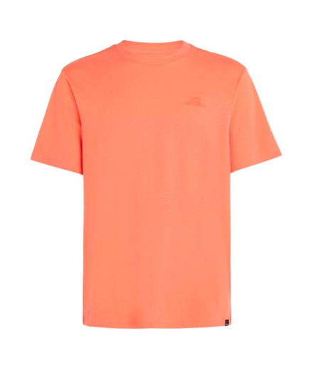 Camiseta O'Neill Small Logo Living Coral Homem