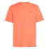 Camiseta O'Neill Small Logo Living Coral Homem