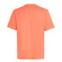 T-shirt O'Neill Petit Logo Corail Vivant Homme