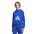 Sudadera adidas Big Logo Ft Hd Infantil Azul