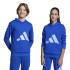 Moletom adidas Big Logo Ft Hd Infantil Azul