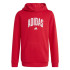 Moletom adidas Colleg Hd Infantil Vermelho
