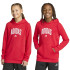 Moletom adidas Colleg Hd Infantil Vermelho