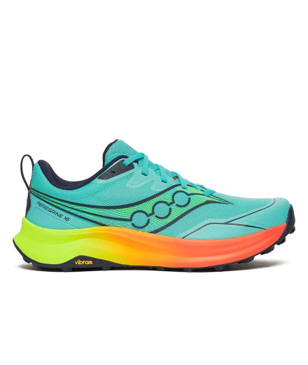 Sapatilhas de Running Saucony Peregrine 16 Homem Azul/Citron