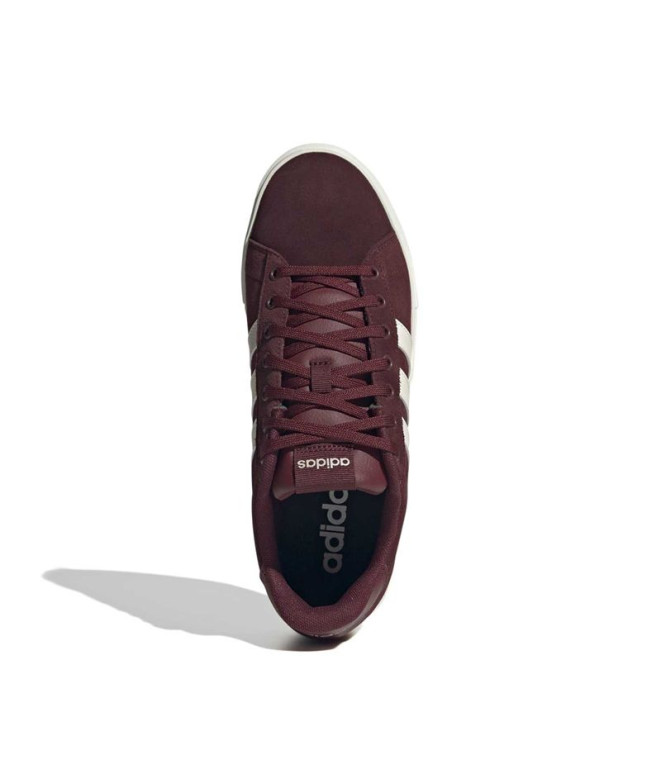 Chaussures adidas Daily 4.0 Rojsom / Casbla / Bleu