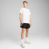 Camiseta de Running Puma M Run Velocity ( Branco Homem