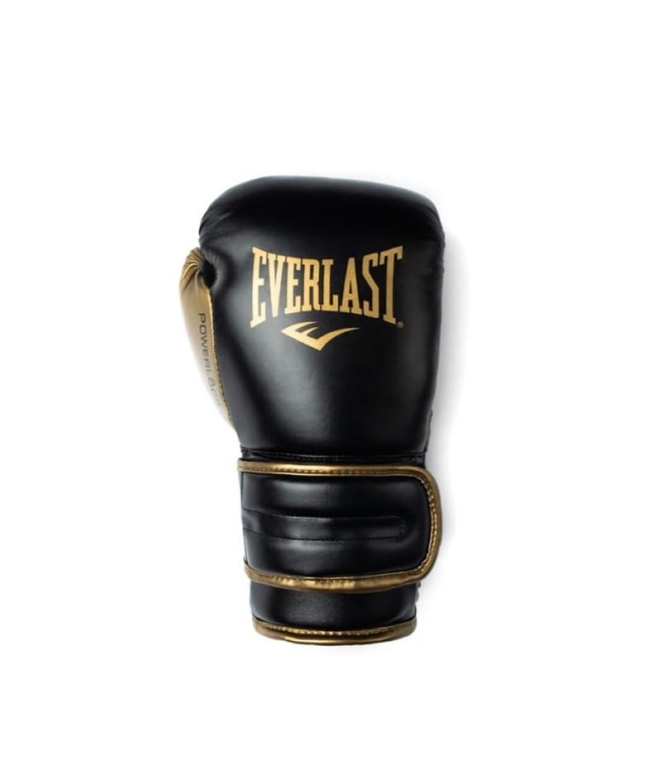 Luvas Everlast Fse Powerlock 2R Treinamento...