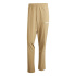 Pantalon de Montagne adidas Mt Ess Pants Homme Carton