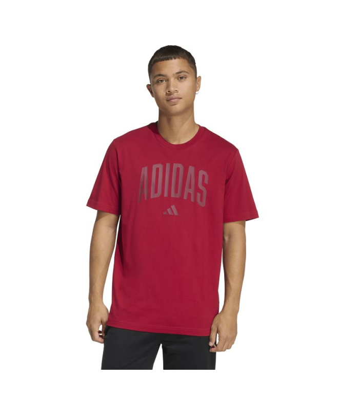 Camiseta adidas Collegiate Homem Maract
