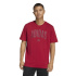 Camiseta adidas Collegiate Homem Maract