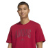 Camiseta adidas Collegiate Homem Maract