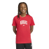 Camiseta adidas Colleg Infantil Granate/Branco
