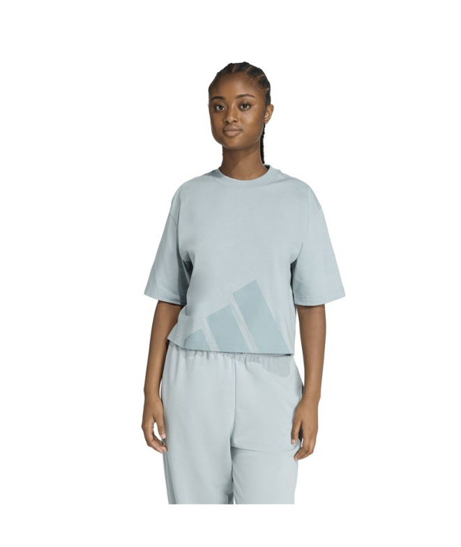 Camiseta adidas Big Logo Sj Bf Mulher Sama/Tiever