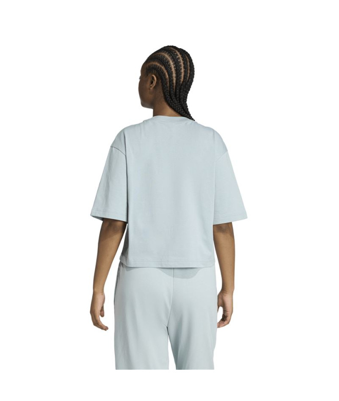 Camiseta adidas Big Logo Sj Bf Mulher Sama/Tiever