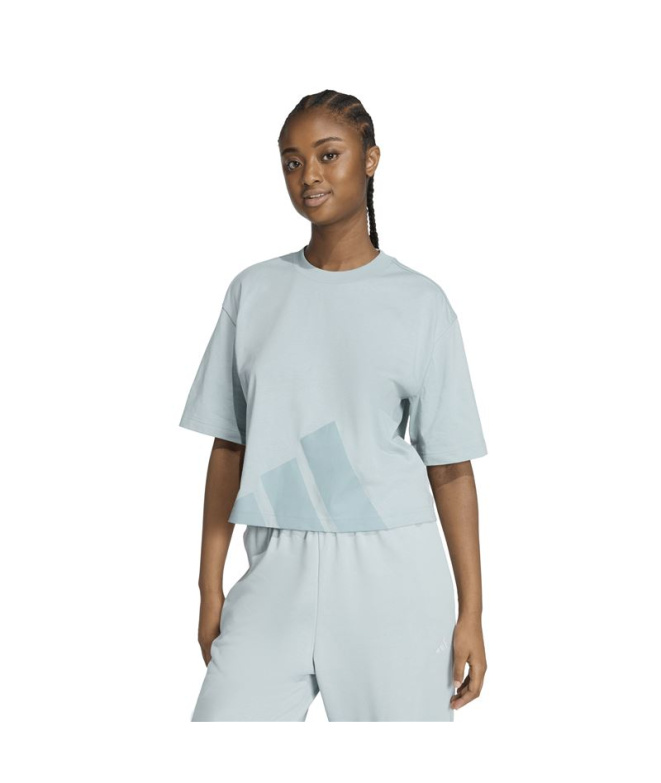 Camiseta adidas Big Logo Sj Bf Mulher Sama/Tiever