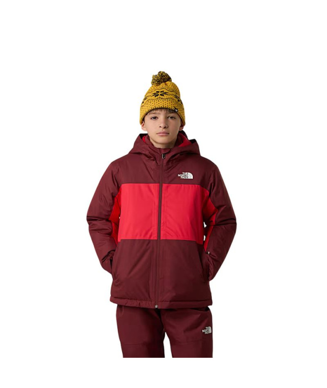 Veste de Montagne The North Face Freedom...