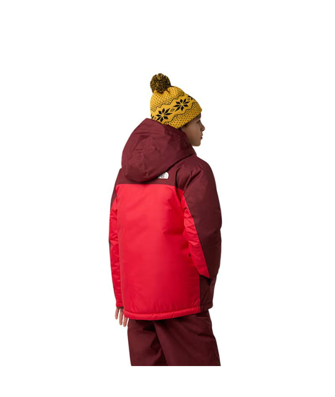 Veste de Montagne The North Face Freedom...