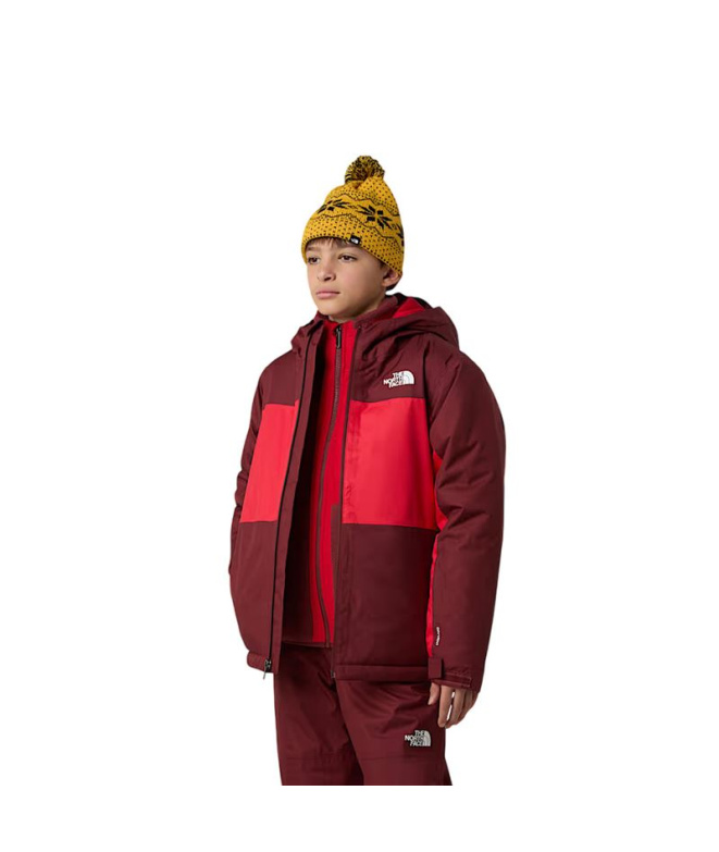 Veste de Montagne The North Face Freedom...