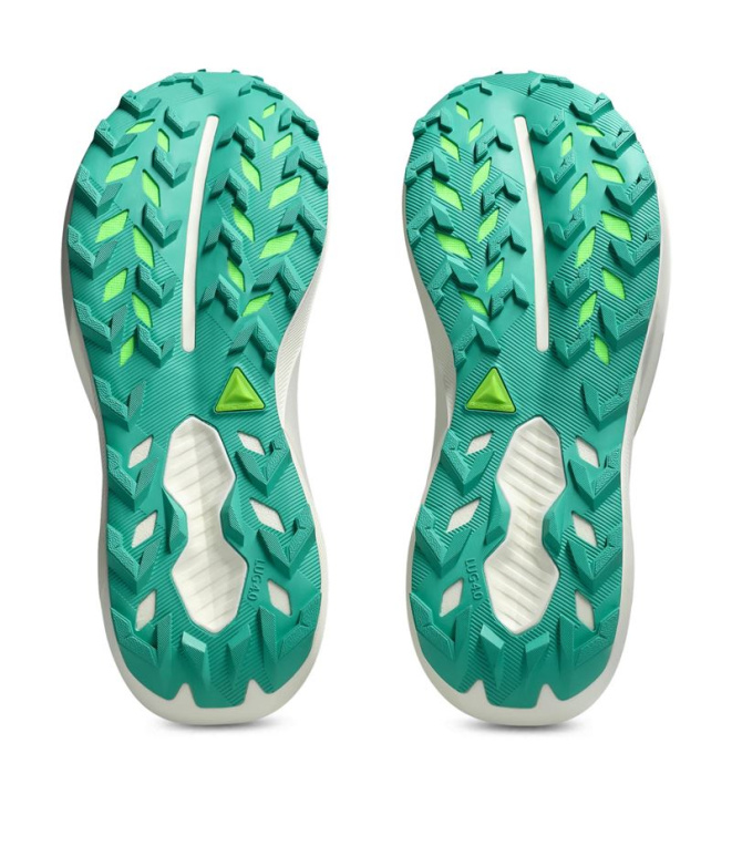 Chaussures de Trail ASICS Trabuco 14 Homme...