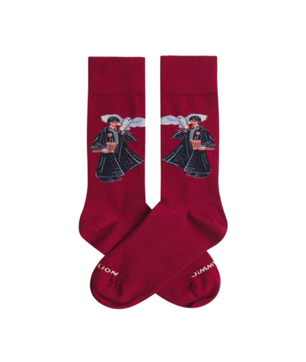 Calcetines Jimmy Lion Harry Potter The Boy Who Lived...