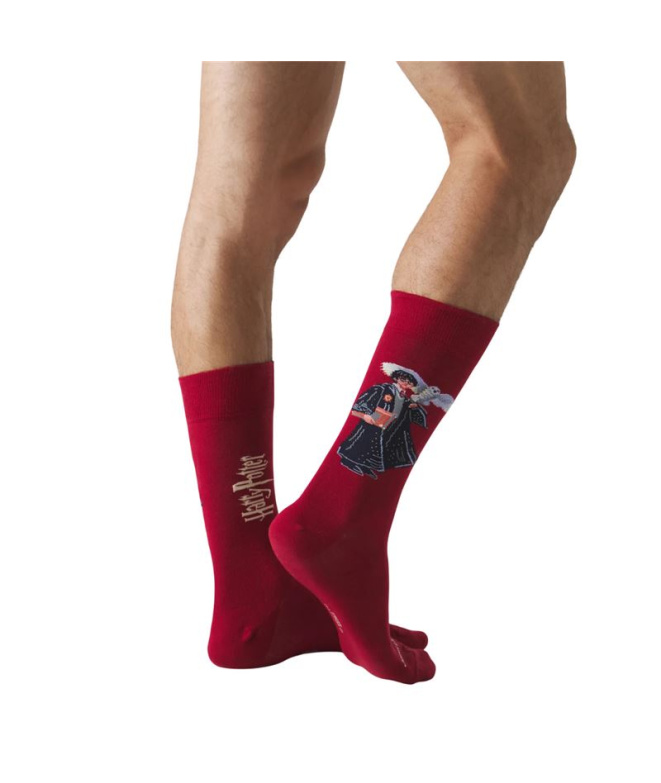 Chaussettes Jimmy Lion Harry Potter Le Garçon...