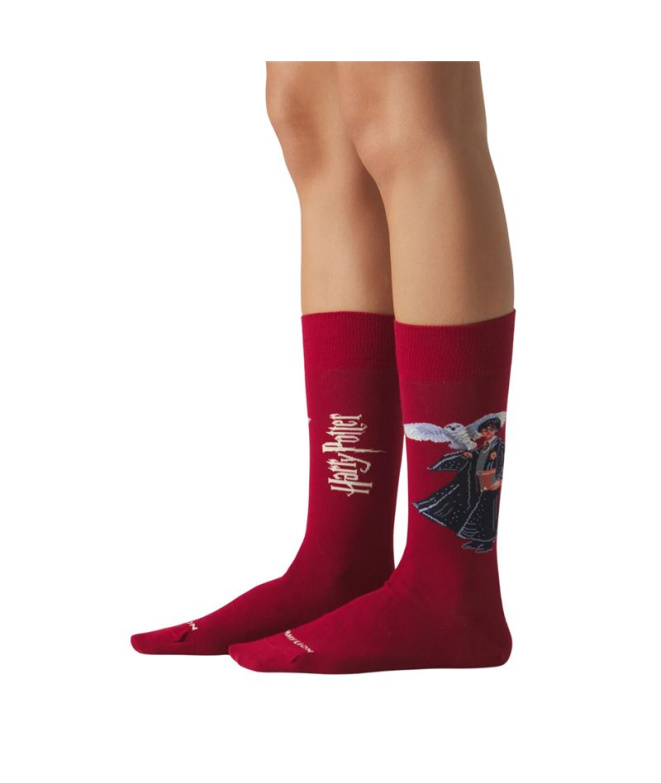 Chaussettes Jimmy Lion Harry Potter Le Garçon...