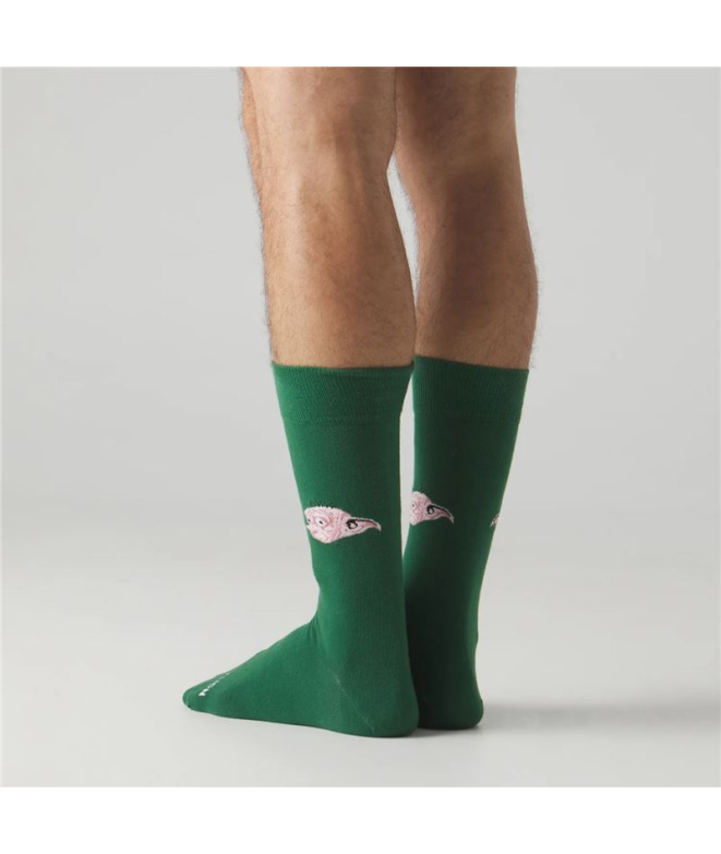 Chaussettes Jimmy Lion Harry Potter Dobby Vert
