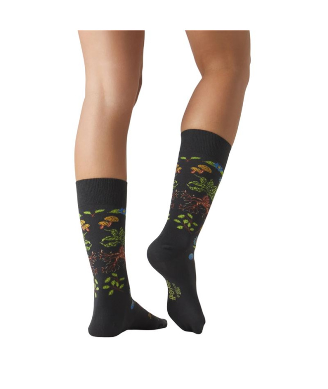 Chaussettes Jimmy Lion Harry Potter Herbologie...