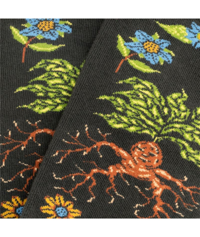 Chaussettes Jimmy Lion Harry Potter Herbologie...