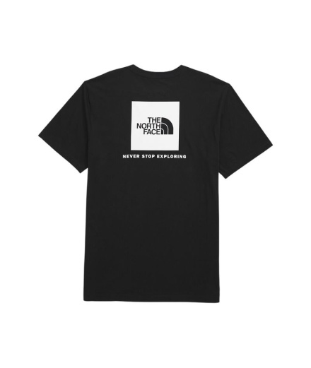 Camiseta de Montaña The north face Evolution Box Nse...