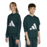 Sweat adidas Grand Logo Ft Hd Enfant Bleu/ Blanc