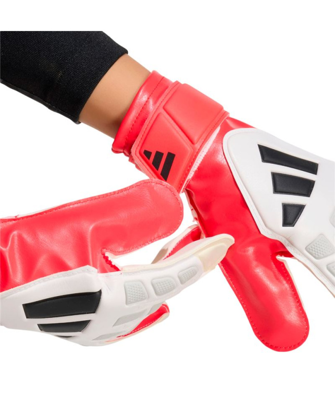 Luvas Goleiro de Futebol adidas Predator Gl Trn...