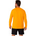 Camiseta de Running ASICS Core Ls Top Homem Laranja