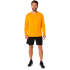 Camiseta de Running ASICS Core Ls Top Homem Laranja