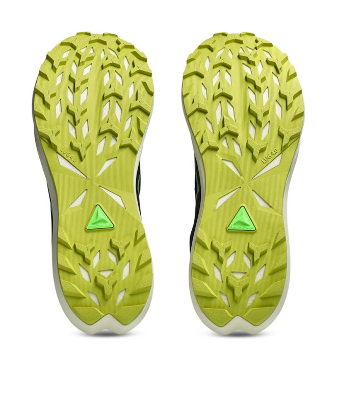 Chaussures de Trail ASICS Fuji Lite 6 Homme...