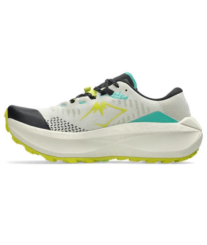 Chaussures de Trail ASICS Trabuco Max 5 Homme...