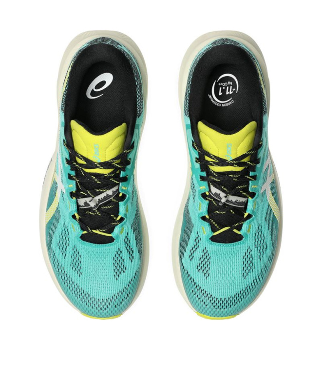 Chaussures de Trail ASICS Trabuco 14 Homme...