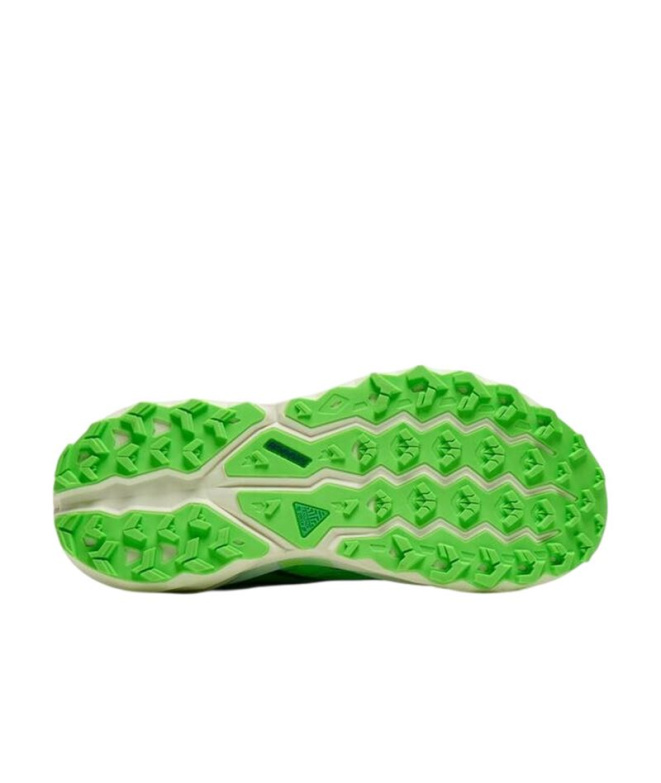 Chaussures de Trail Brooks Cascadia 19 Homme...