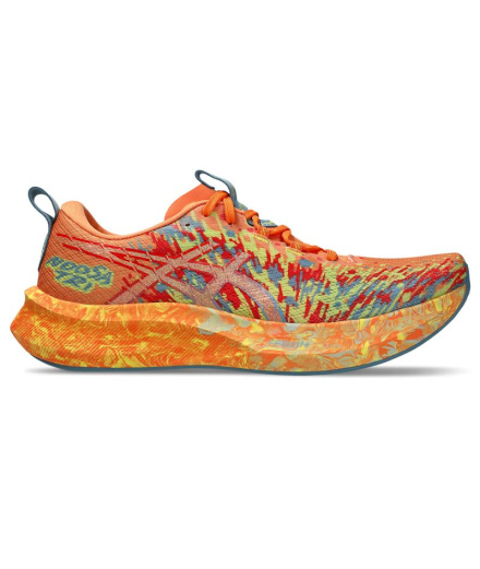Sapatilhas de Running ASICS Noosa Tri 16 Homem Sun...