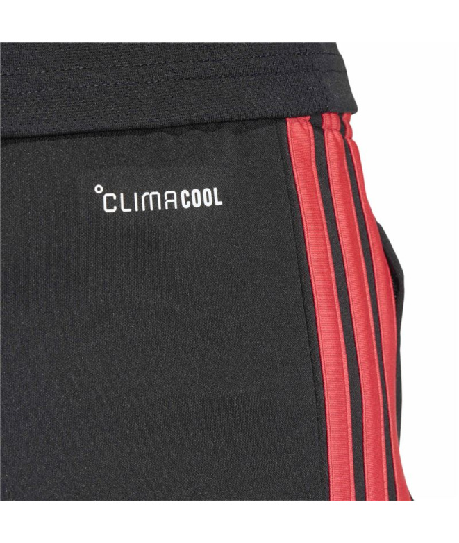 Pantalones de Fútbol adidas Tiro26L Tr Sho...
