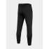 Pantalons d'entraînement 4F Fonctionnel noir Homme