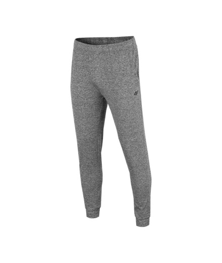 Pantalones de traning 4F Functional gris Hombre