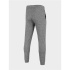 Pantalons d'entraînement 4F Fonctionnel gris Homme