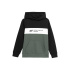Sweat 4F JBLM003 Enfant vert