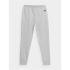 Pantalones de Fitness 4F Gris Niño