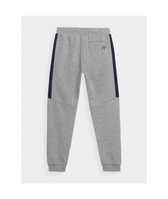 Pantalones 4F JSPMD002 Niño Gris