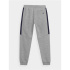 Pantalones 4F JSPMD002 Niño Gris