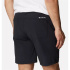 Pantalons de randonnée Columbia Hike Homme Noir