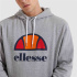 Moletom Ellesse Dahryl OH Hoody Homem Cinza